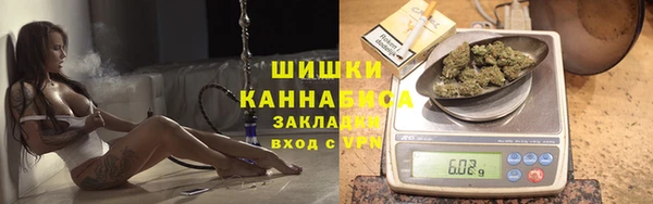 прущая мука Богданович