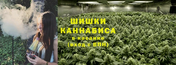 прущая мука Богданович
