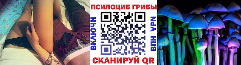 Купить где  Малая Вишера  Галлюциногенные грибы мицелий 